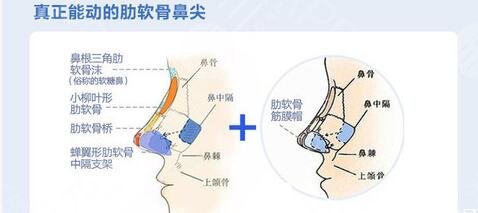 隆鼻整形手术的恢复时间是多长