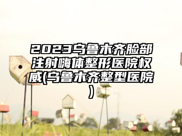 2023乌鲁木齐脸部注射嗨体整形医院权威(乌鲁木齐整型医院)