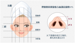 鼻孔缩小手术大概多少钱？