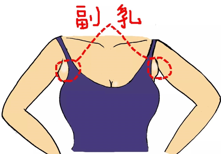 今日解答西安丰胸要多少钱