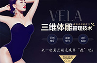 Vela维拉瘦身