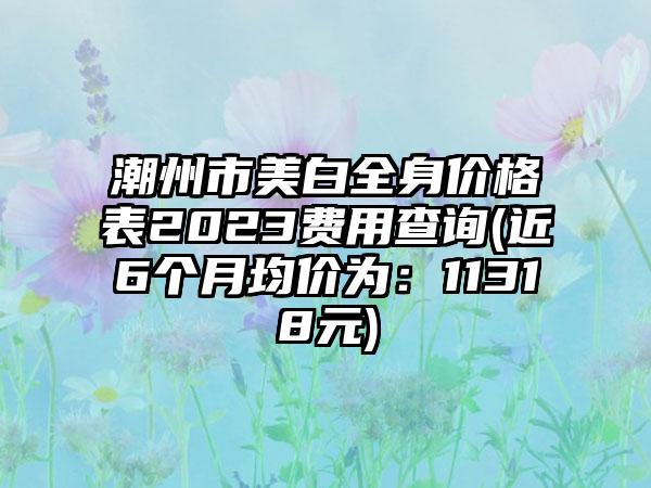 潮州市美白全身价格表2023费用查询(近6个月均价为：11318元)