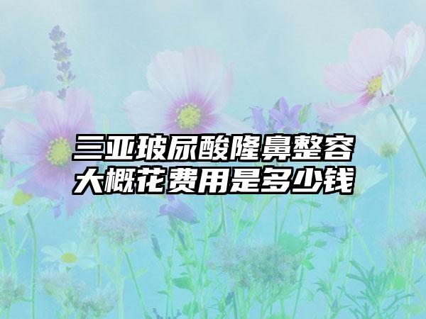 三亚玻尿酸隆鼻整容大概花费用是多少钱