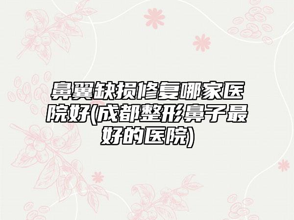 鼻翼缺损修复哪家医院好(成都整形鼻子最好的医院)