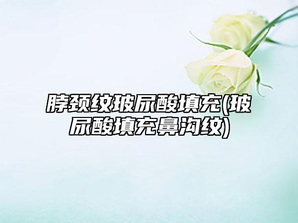 脖颈纹玻尿酸填充(玻尿酸填充鼻沟纹)