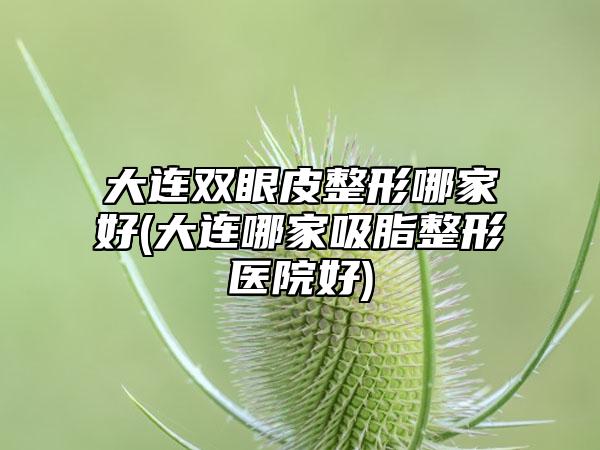 大连双眼皮整形哪家好(大连哪家吸脂整形医院好)