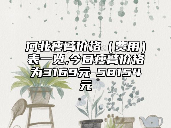 河北瘦臂价格（费用）表一览,今日瘦臂价格为3169元-58154元