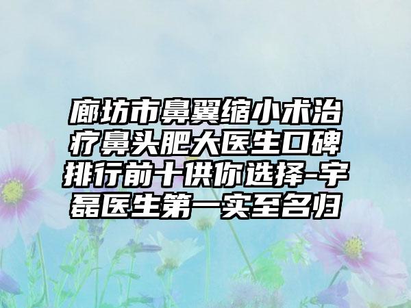 廊坊市鼻翼缩小术治疗鼻头肥大医生口碑排行前十供你选择-宇磊医生第一实至名归