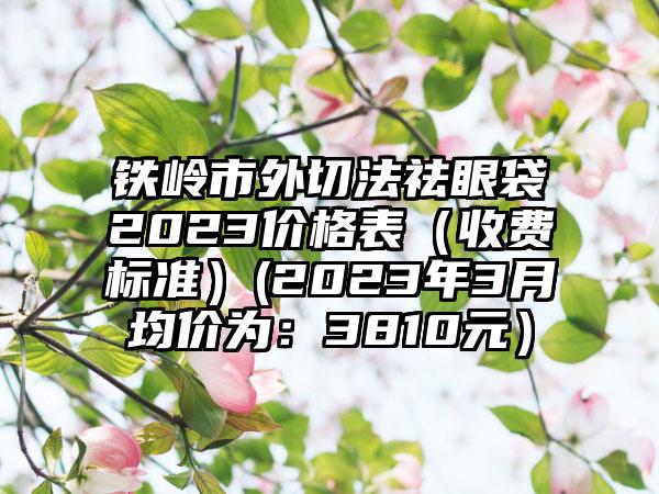 铁岭市外切法祛眼袋2023价格表（收费标准）(2023年3月均价为：3810元）