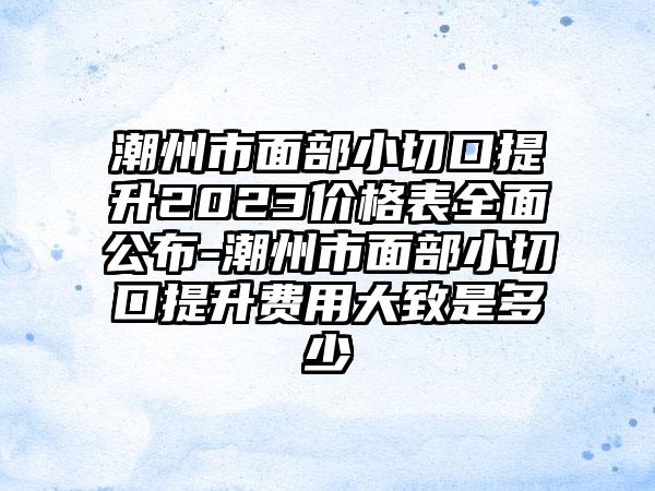 潮州市面部小切口提升2023价格表全面公布-潮州市面部小切口提升费用大致是多少