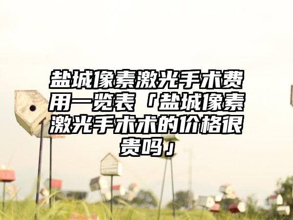 盐城像素激光手术费用一览表「盐城像素激光手术术的价格很贵吗」